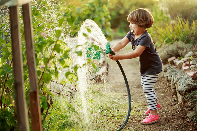 Gooseneck Vineyards | Joy of Gardening